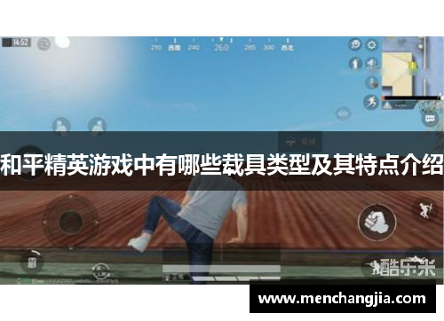 和平精英游戏中有哪些载具类型及其特点介绍